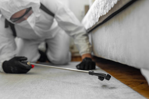 Professional Termite Control technician working in Ferdinand, IN