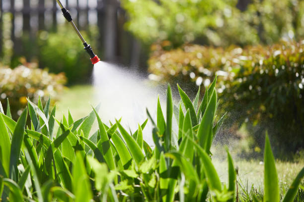 24/7 Emergency Termite Control experts in Ferdinand, IN
