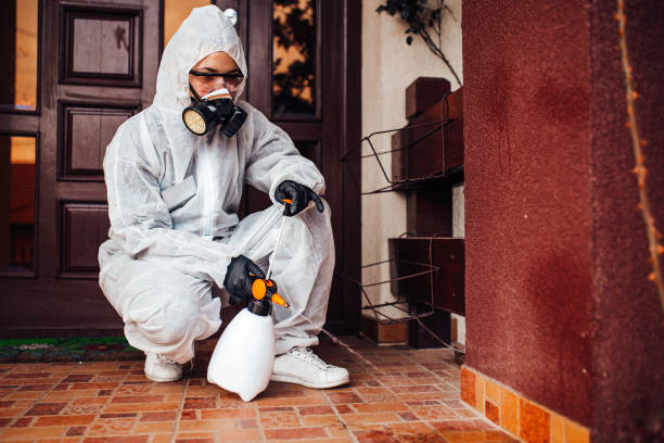 Reliable Termite Control contractor in Ferdinand, IN by Nex Pest Control