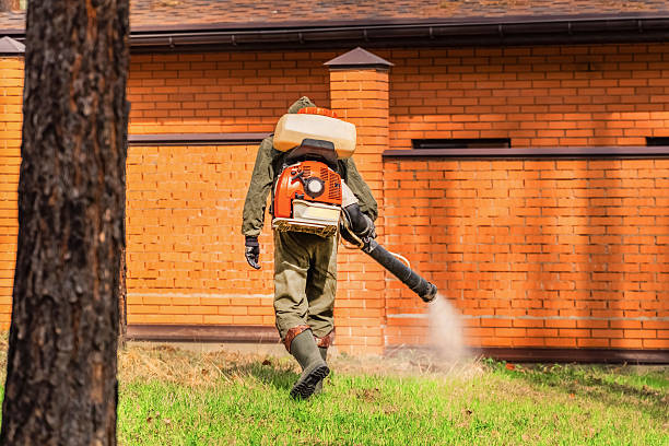 Top rated local Termite Control specialists in Ferdinand, IN